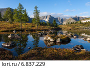 Отражение неба и деревьев в горном озере. Стоковое фото, фотограф Дмитрий Кривопалов / Фотобанк Лори