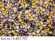 Фон из фасоли. Стоковое фото, фотограф Gagara / Фотобанк Лори