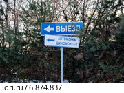 Указатели на фоне деревьев: "Выезд", "Автомойка. Шиномонтаж" Стоковое фото, фотограф Илюхина Наталья / Фотобанк Лори