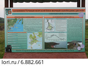 Дальневосточный морской биосферный заповедник ДВО РАН, остров Попова (2012 год). Редакционное фото, фотограф Алексей Гусев / Фотобанк Лори