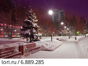 Зимний вечер в городском сквере. Ижевск (2015 год). Стоковое фото, фотограф Agnes Chvankova / Фотобанк Лори