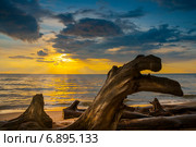 Летний закат на Обском море. Стоковое фото, фотограф Евгений Мухортов / Фотобанк Лори