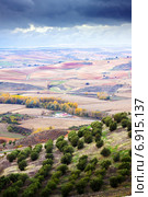 agricultural fields. Стоковое фото, фотограф Яков Филимонов / Фотобанк Лори