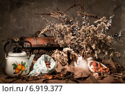 Натюрморт с чайником и сухоцветом. Стоковое фото, фотограф Колесникова Алёна Валерьевна / Фотобанк Лори