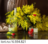 Натюрморт с мимозой и ликером. Стоковое фото, фотограф Татьяна Ляпи / Фотобанк Лори
