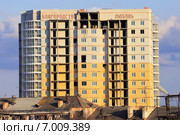 Благородство и любовь на фасаде здания (2014 год). Стоковое фото, фотограф Анатолий Матвейчук / Фотобанк Лори