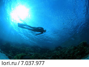 Фридайвер плывет вдоль рифа в Красном море, Египет. Стоковое фото, фотограф Некрасов Андрей / Фотобанк Лори