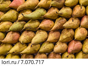 Фон из груш. Стоковое фото, фотограф Gagara / Фотобанк Лори