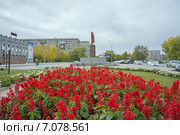 Клумба с сальвией на фоне памятника Ленину. Ачинск (2013 год). Редакционное фото, фотограф Светлана Попова / Фотобанк Лори