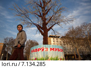 Искусственное цветущее дерево урюка во время празднования праздника Навруз на центральной площади в городе Худжанде, Таджикистан (2015 год). Редакционное фото, фотограф Николай Винокуров / Фотобанк Лори
