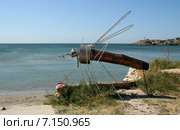 Большой комар на берегу моря. Самодельная скульптура (2014 год). Редакционное фото, фотограф Щеголева Ольга / Фотобанк Лори