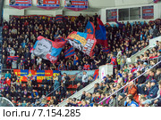 Болельщики команды ЦСКА на трибунах ЛСК ЦСКА в Москве (2015 год). Редакционное фото, фотограф Сергей Лаврентьев / Фотобанк Лори