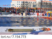 Десятый чемпионат России по ледяному плаванию (2015 год). Редакционное фото, фотограф Ирина Здаронок / Фотобанк Лори