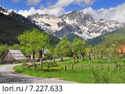 Sinjajevina mountain in northern Montenegro between town of Kolasin and village of Njegovuda. Стоковое фото, агентство BE&W Photo / Фотобанк Лори