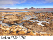 Bolivia, Laguna Colorada, Red Lagoon, Shallow Salt Lake in the Southwest of the Altiplano of Bolivia, within Eduardo Avaroa Andean Fauna National Reserve. Стоковое фото, агентство BE&W Photo / Фотобанк Лори