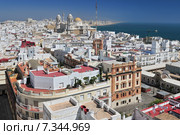 View from Torre Tavira tower to Cádiz Cathedral, also New Cathedral, Cádiz, Costa de la Luz, Andalusia, Spain. Стоковое фото, агентство BE&W Photo / Фотобанк Лори
