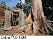 Cambodia, Siem Reap, Angkor, Preah Khan, temple. Стоковое фото, агентство BE&W Photo / Фотобанк Лори