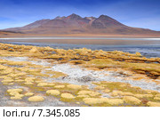 Bolivia, Laguna Blanca, Lake in the Sur Lipez province, Potosi Department. Стоковое фото, агентство BE&W Photo / Фотобанк Лори