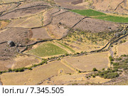 peru - colca canyon, canyon of the colca river in southern peru.Peru, Colca Valley, Terrace Cultivation. Стоковое фото, агентство BE&W Photo / Фотобанк Лори