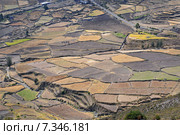 peru - colca canyon, canyon of the colca river in southern peru.Peru, Colca Valley, Terrace Cultivation. Стоковое фото, агентство BE&W Photo / Фотобанк Лори
