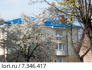 Новый дом утопает в зелени цветущего сада. Стоковое фото, фотограф Svet / Фотобанк Лори