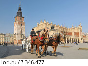 Horse carriage and Cloth Hall (Sukiennice) on Main Market Square Cracow, PolandPoland, Cracow, Main Market Square, Sukiennice (Cloth Hall), Horse Carriage. Редакционное фото, агентство BE&W Photo / Фотобанк Лори