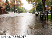 Большая лужа на аллеи в дождливую погоду. город Краснодар (2014 год). Редакционное фото, фотограф Сергей Лешков / Фотобанк Лори