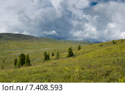 Хамар-Дабан. Стоковое фото, фотограф Ирина Бельдиман / Фотобанк Лори