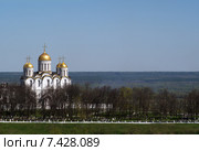 Владимир,Успенский собор (2015 год). Редакционное фото, фотограф Алексей Дроздов / Фотобанк Лори