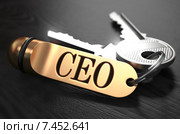 CEO, надпись на брелке с ключами. Стоковая иллюстрация, иллюстратор Илья Урядников / Фотобанк Лори