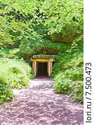 Вход в шахту, Ryugenji Mabu Shaft of Iwami Ginzan Silver Mine, Япония (2015 год). Стоковое фото, фотограф Иван Марчук / Фотобанк Лори