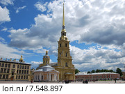 Санкт-Петербург. Петропавловский собор (2010 год). Стоковое фото, фотограф Дмитрий Муромцев / Фотобанк Лори