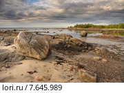 Белое море. Стоковое фото, фотограф Александр Коротков / Фотобанк Лори