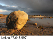 Белое море. Стоковое фото, фотограф Александр Коротков / Фотобанк Лори