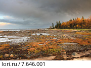 Белое море. Стоковое фото, фотограф Александр Коротков / Фотобанк Лори