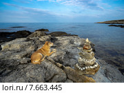 Собака лежит на берегу моря возле пирамиды из камней. Стоковое фото, фотограф Алексей Маринченко / Фотобанк Лори