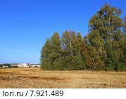 Колок у Заводоуковского мясокомбината. Стоковое фото, фотограф Анатолий Матвейчук / Фотобанк Лори
