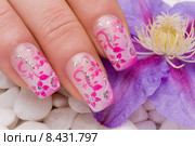 hand hands cosmetics manicure fingernail. Стоковое фото, фотограф Christoph Hähnel / PantherMedia / Фотобанк Лори