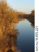 Полноводный Тобол. Стоковое фото, фотограф Анатолий Матвейчук / Фотобанк Лори
