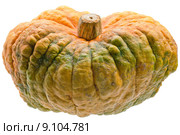 Colourful pumpkin isolated on white back. Стоковое фото, фотограф Roberts Ratuts / PantherMedia / Фотобанк Лори