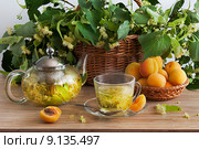 Липовый чай. Стоковое фото, фотограф Ирина Писанова / Фотобанк Лори
