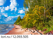 Побережье Обского водохранилища. Россия,Сибирь,Новосибирская область,река Обь. Стоковое фото, фотограф Евгений Мухортов / Фотобанк Лори