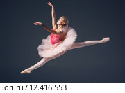 Beautiful female ballet dancer on a grey background. Ballerina is wearing  pink tutu and pointe shoes. Стоковое фото, фотограф Volodymyr Melnyk / PantherMedia / Фотобанк Лори