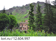 Замок в долине нарзанов Кабардино-Балкарии (2015 год). Стоковое фото, фотограф Карданов Олег / Фотобанк Лори