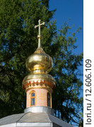 Маковка Михеевской церкви. Троице-Сергиева лавра. Сергиев Посад (2015 год). Стоковое фото, фотограф Александр Щепин / Фотобанк Лори