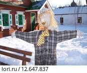 Чучело огородное зимой. Стоковое фото, фотограф Инна Свиристель / Фотобанк Лори