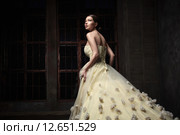 Cinderella. Стоковое фото, фотограф Raev Denis / Фотобанк Лори