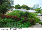 Аптекарский огород Ботанического Сада МГУ в Москве (2009 год). Стоковое фото, фотограф lana1501 / Фотобанк Лори