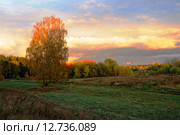 Русское поле. Багряный вечер. Стоковое фото, фотограф Александр Тараканов / Фотобанк Лори