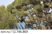 Испания, Каталония, Коста Брава, побережье Lloret de Mar (2015 год). Стоковое видео, видеограф Валерий Назаров / Фотобанк Лори